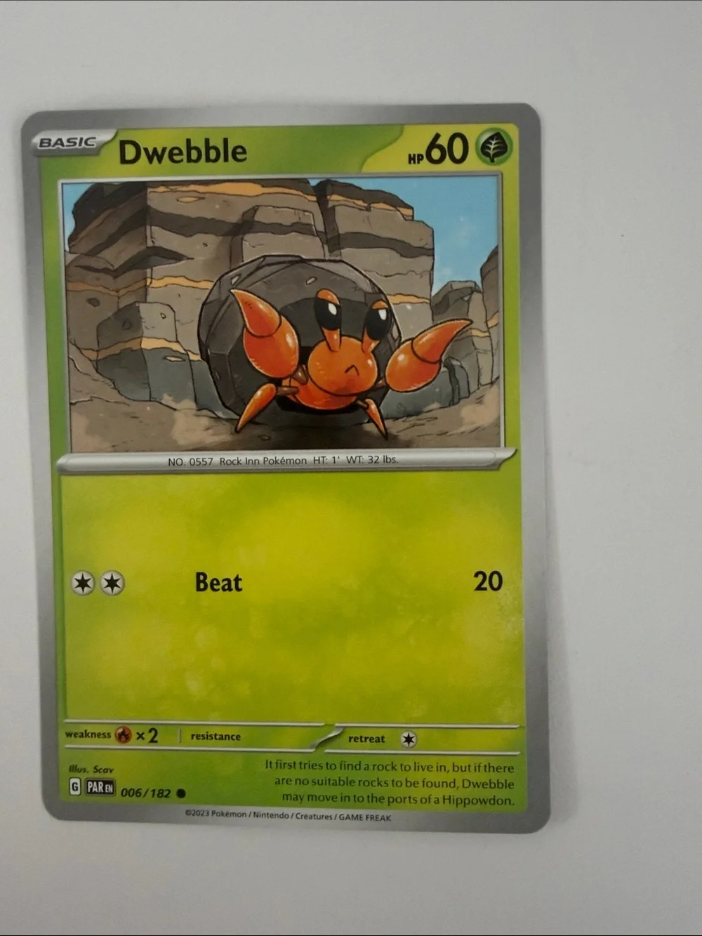 🌿 Forest Pokémon Card Lot | Tropius Maractus Burmy Wormadam Crustle ✨5/$25✨